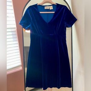 Vintage Royal Blue Velvet Dress